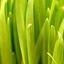 完整安装包的网页攻击器教程