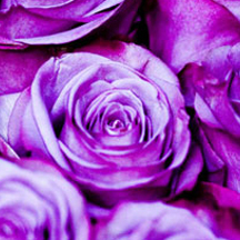 低价卡密批发的怎么攻击游戏服务器